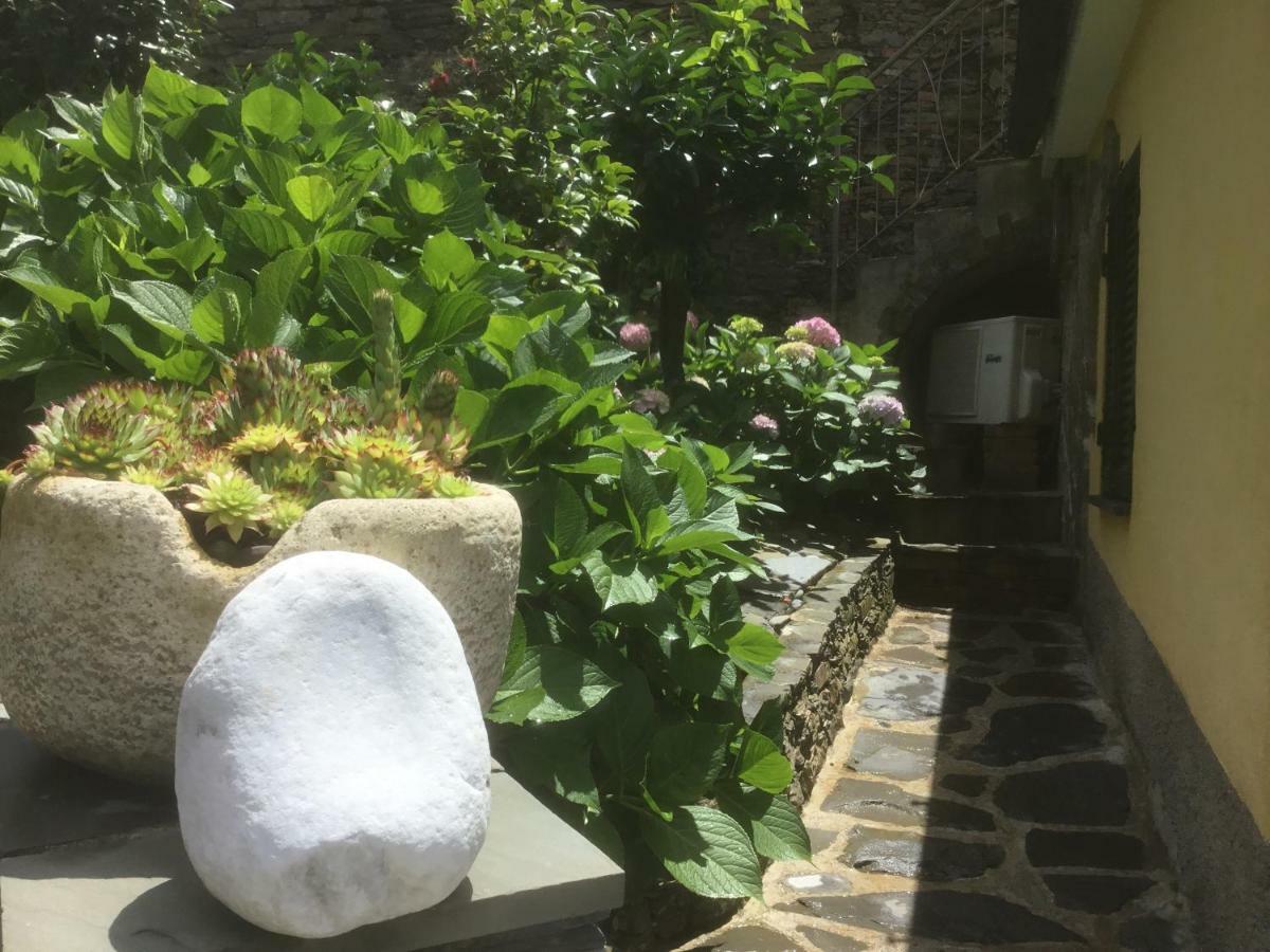 Giuliano Guest house